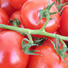  Image d’une grappe de tomates